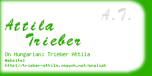 attila trieber business card